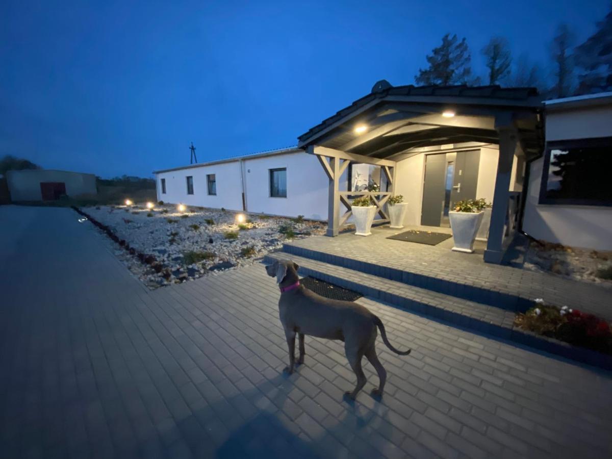 Hotelik Nad Zalewem 10 Km Od Legnicy Λέγκνικα Εξωτερικό φωτογραφία